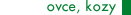 Ovce